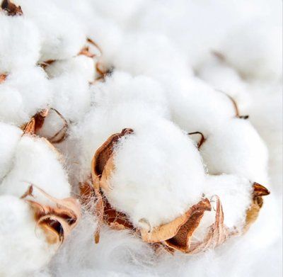 Clean Cotton 030310 фото