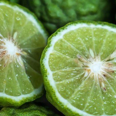 Bergamot Element фото