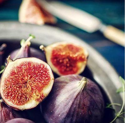 Mediterranean Fig 060810 фото