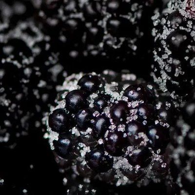 Midnight Blackberry 479910 фото