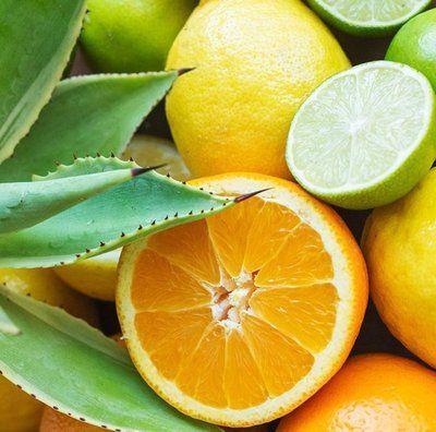 Citrus Agave 122610 фото