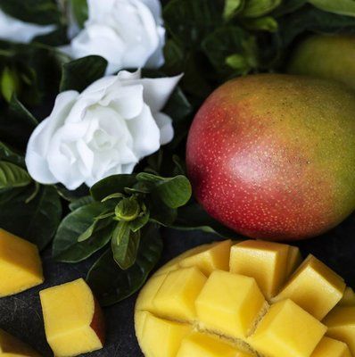 Mango and Gardenia 062910 фото